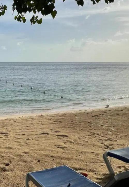 Photo of Others in Orange Bay