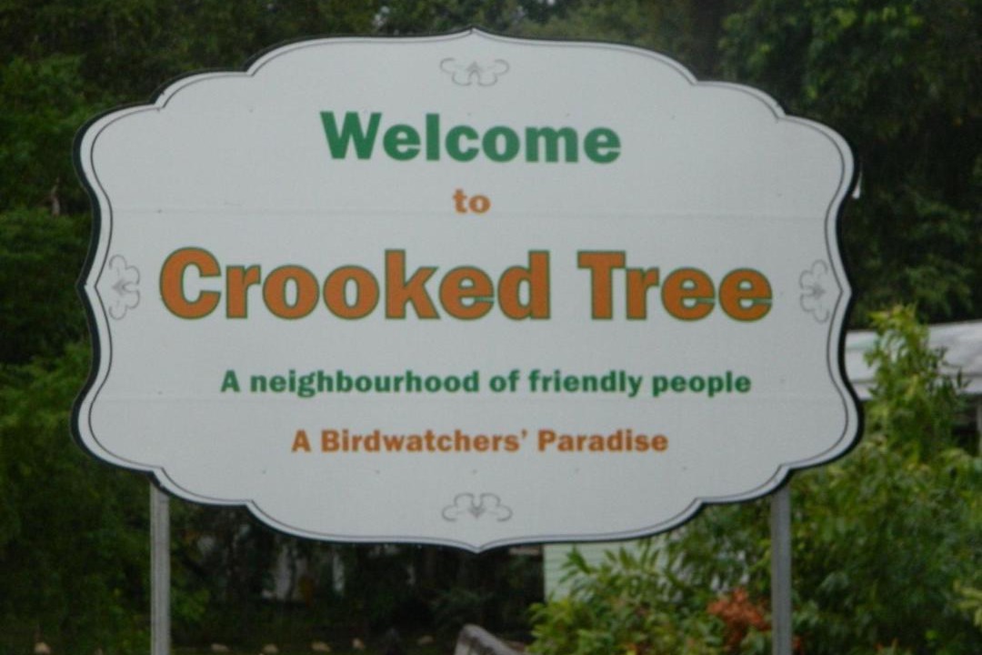 Photo of Others in Crooked Tree