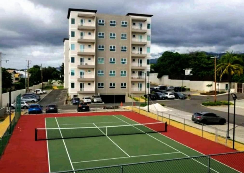 Photo of Others in New Kingston