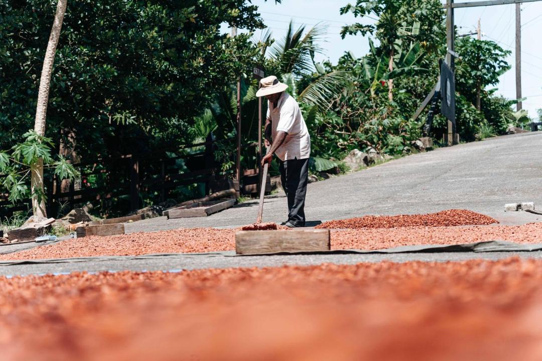 Photo of Others in Soufriere
