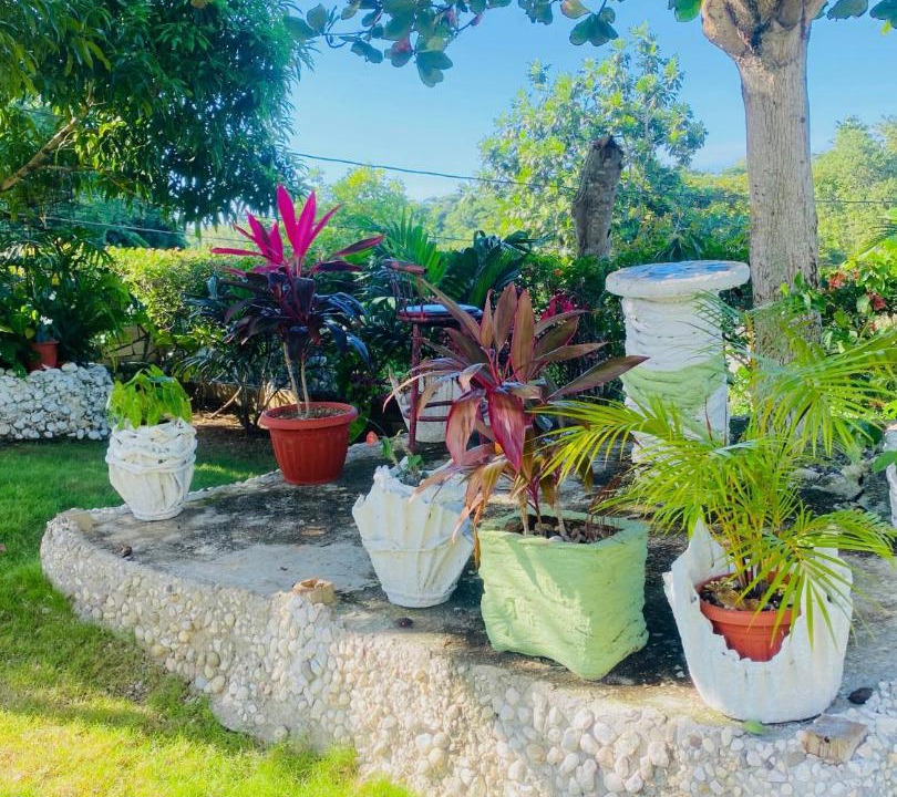Photo of Others in Ocho Rios