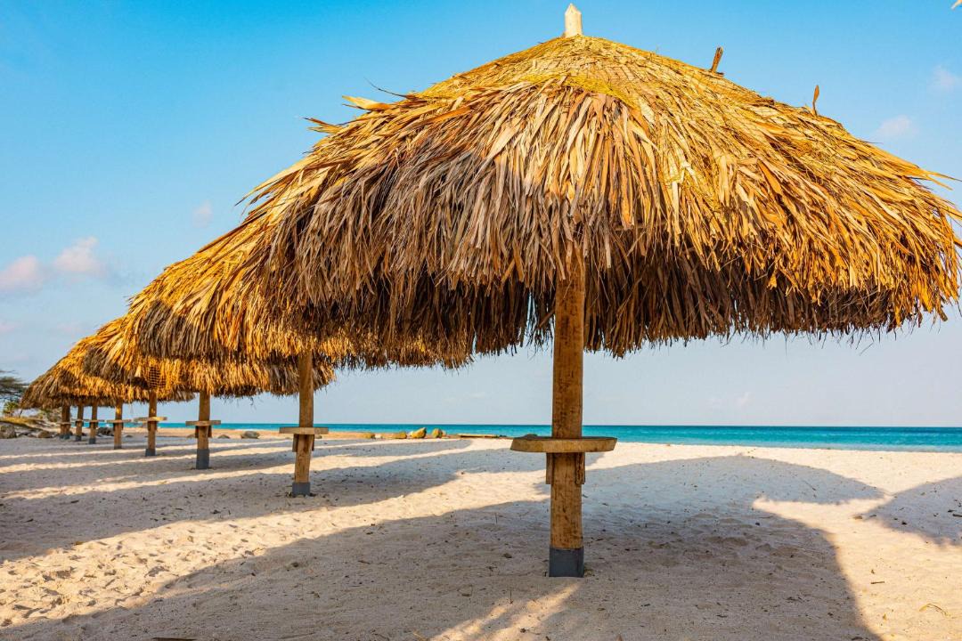 Photo of Others in Palm Beach