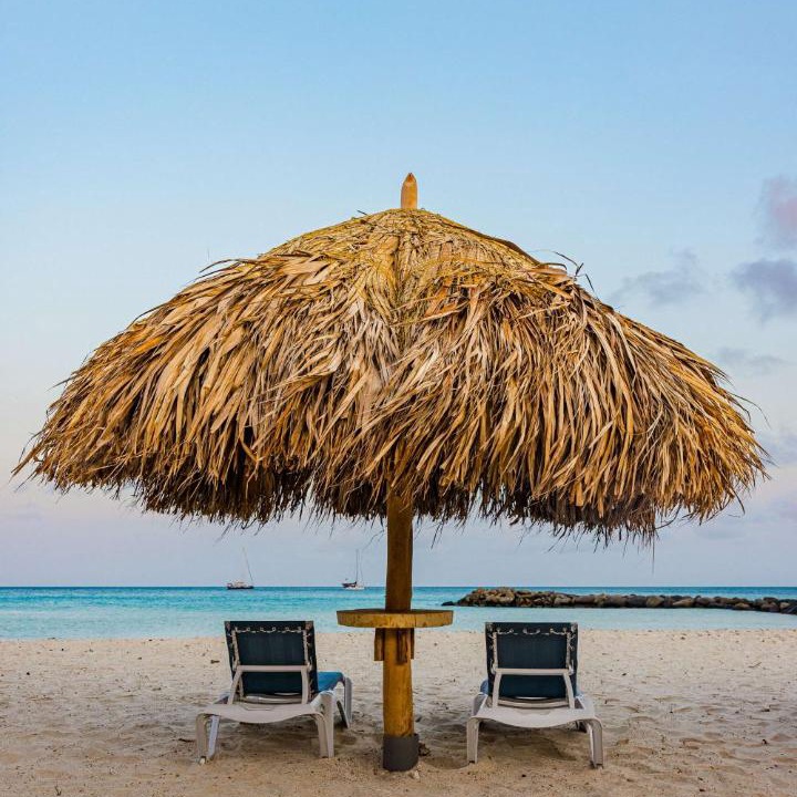 Photo of Others in Palm Beach