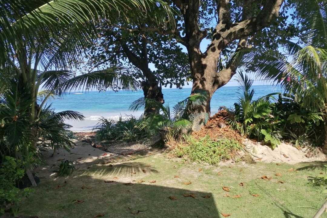 Photo of Others in Port Antonio