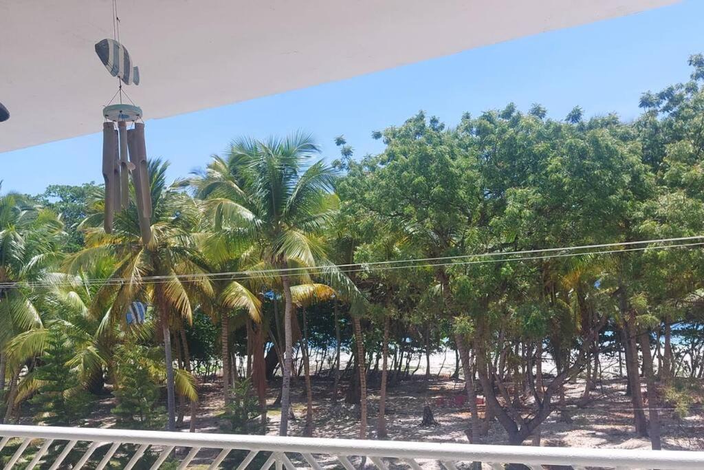 Photo of Others in Paraiso
