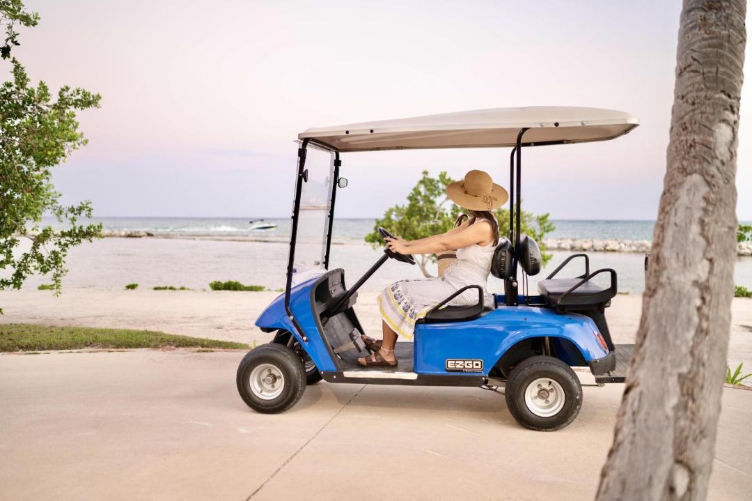 Photo of Others in Cap Cana Marina
