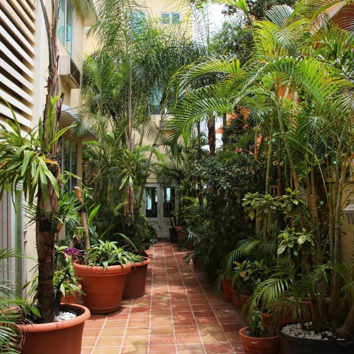 Photo of Others in San Juan