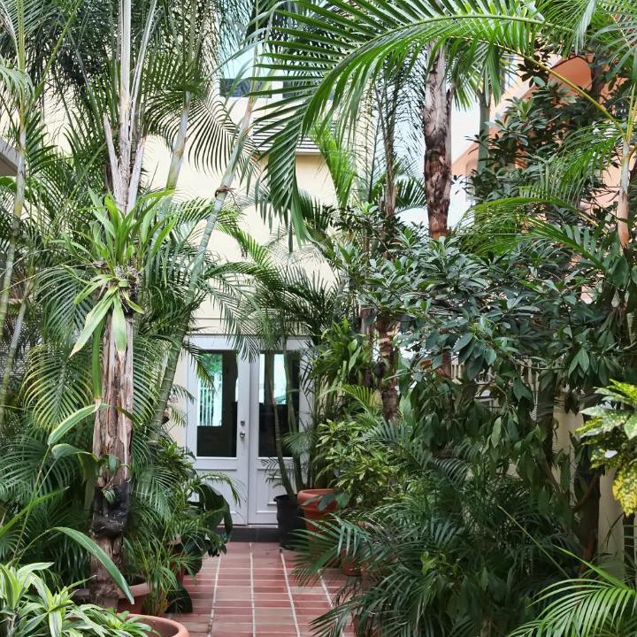 Photo of Others in San Juan