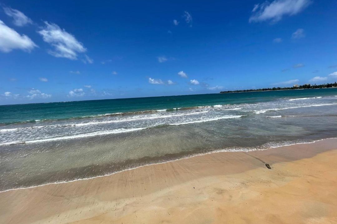 Photo of Others in Playa Fortuna