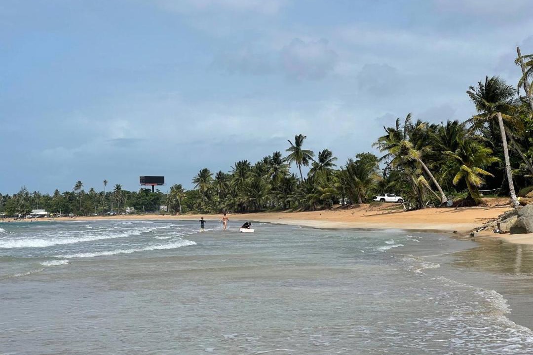 Photo of Others in Playa Fortuna