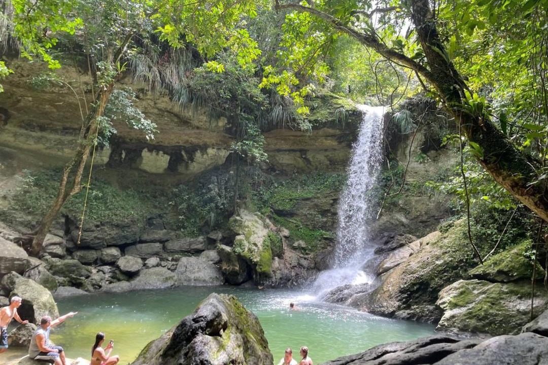 Photo of Others in Playa Fortuna
