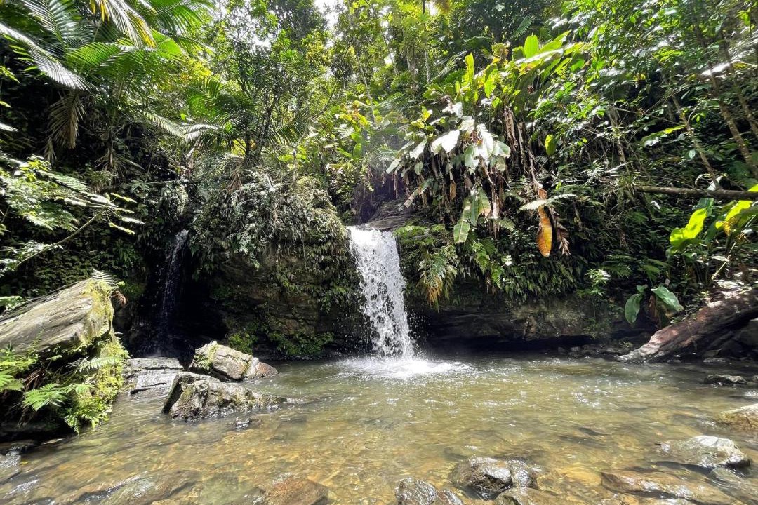 Photo of Others in Playa Fortuna