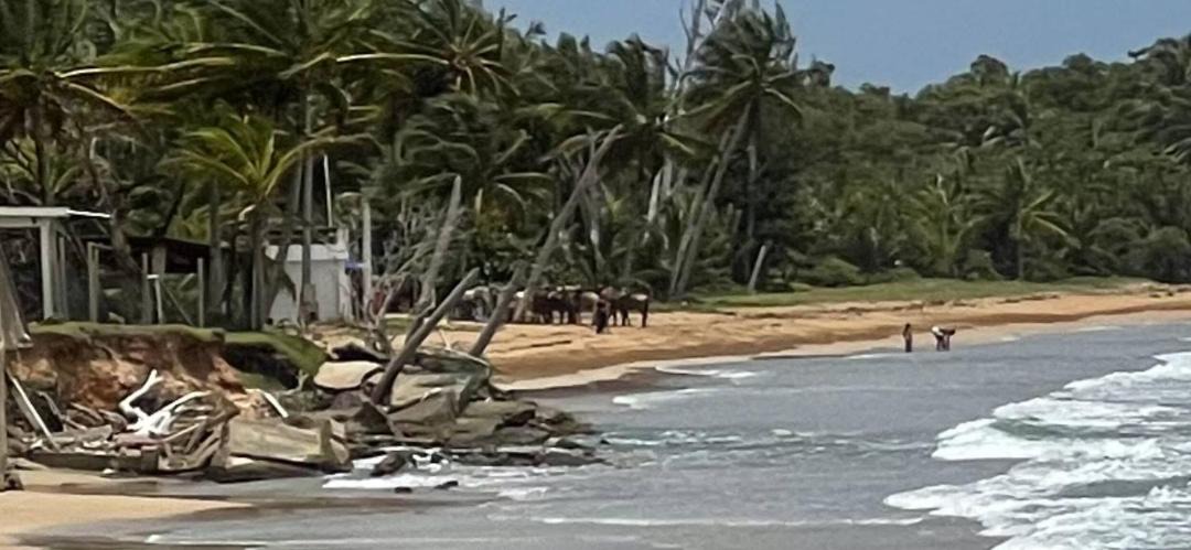 Photo of Others in Playa Fortuna