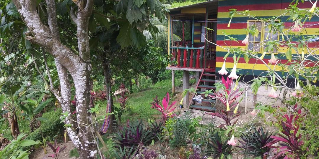 Photo of Others in Port Antonio
