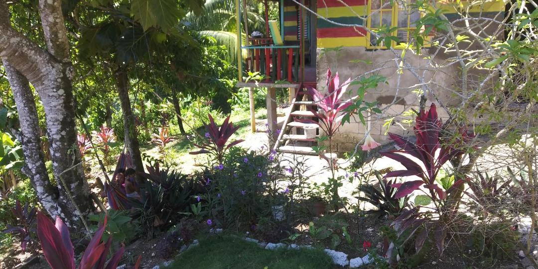 Photo of Others in Port Antonio