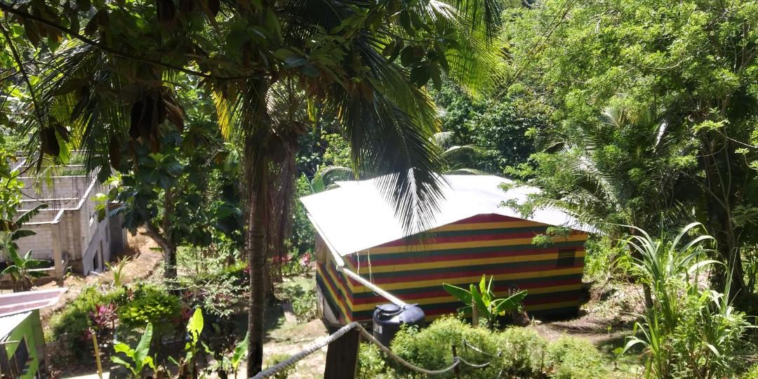 Photo of Others in Port Antonio