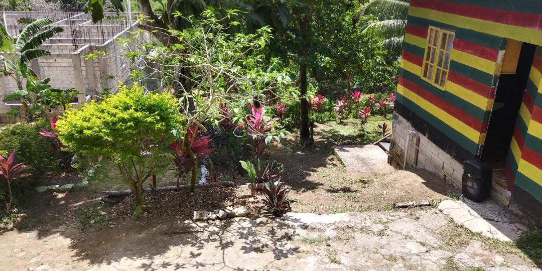 Photo of Others in Port Antonio