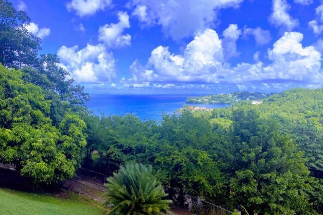 Photo of Others in Castries