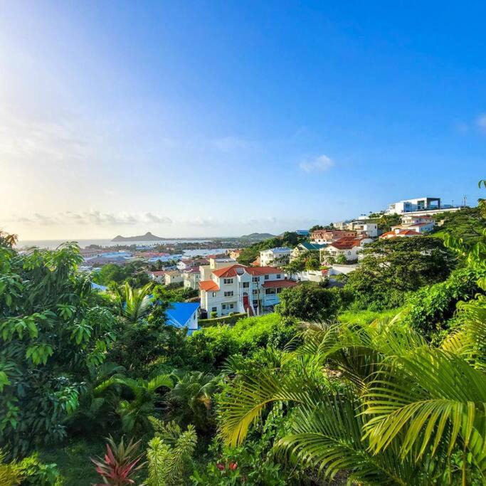 Photo of Others in Rodney Bay
