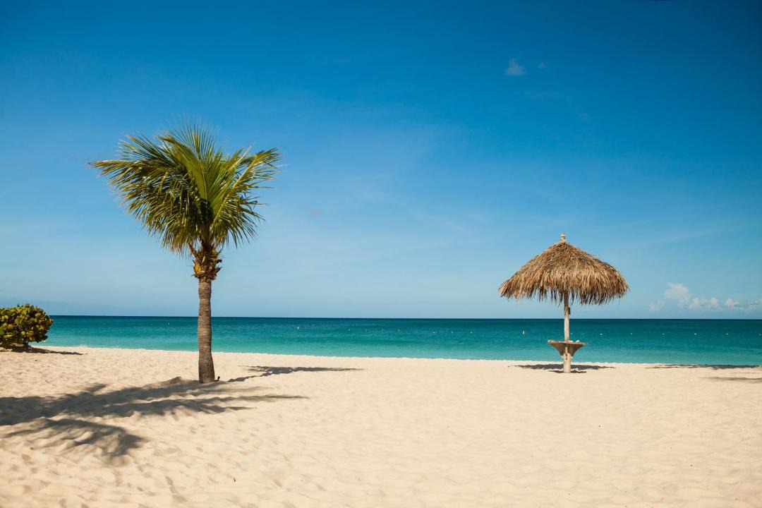 Photo of Others in Oranjestad-West