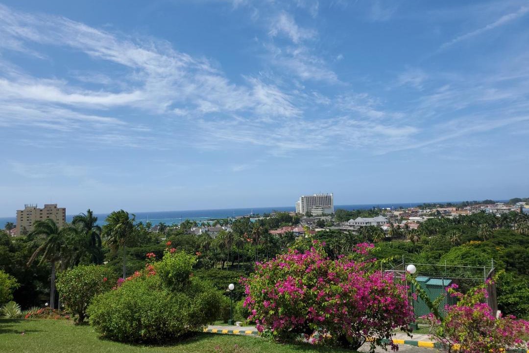 Photo of Others in Ocho Rios
