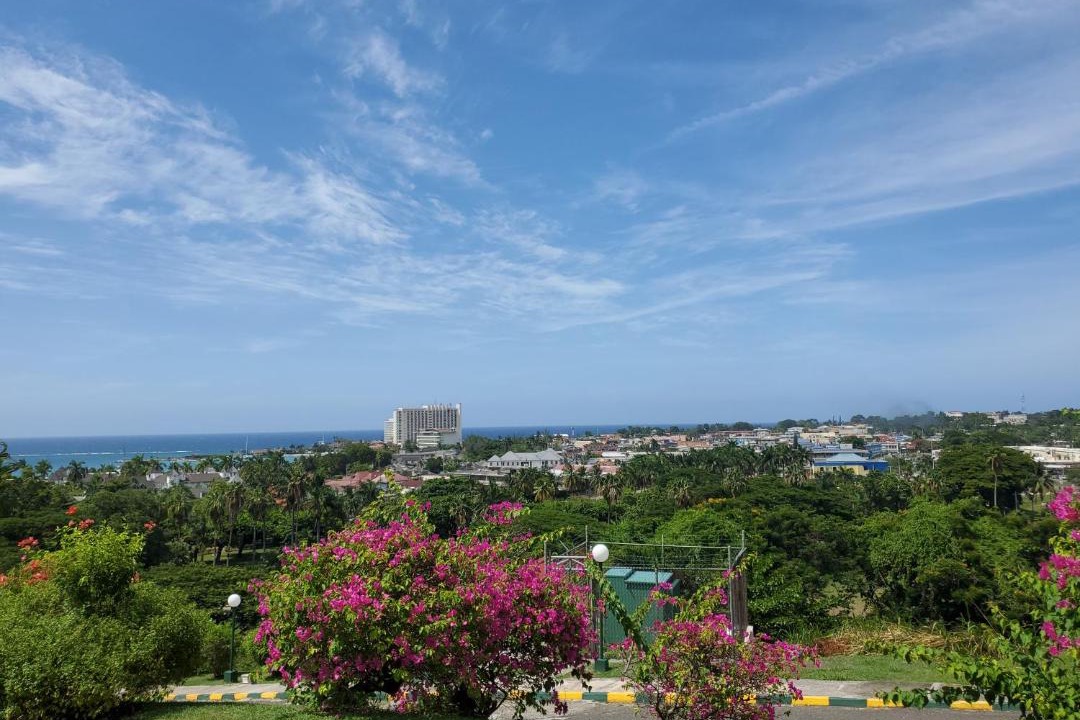 Photo of Others in Ocho Rios