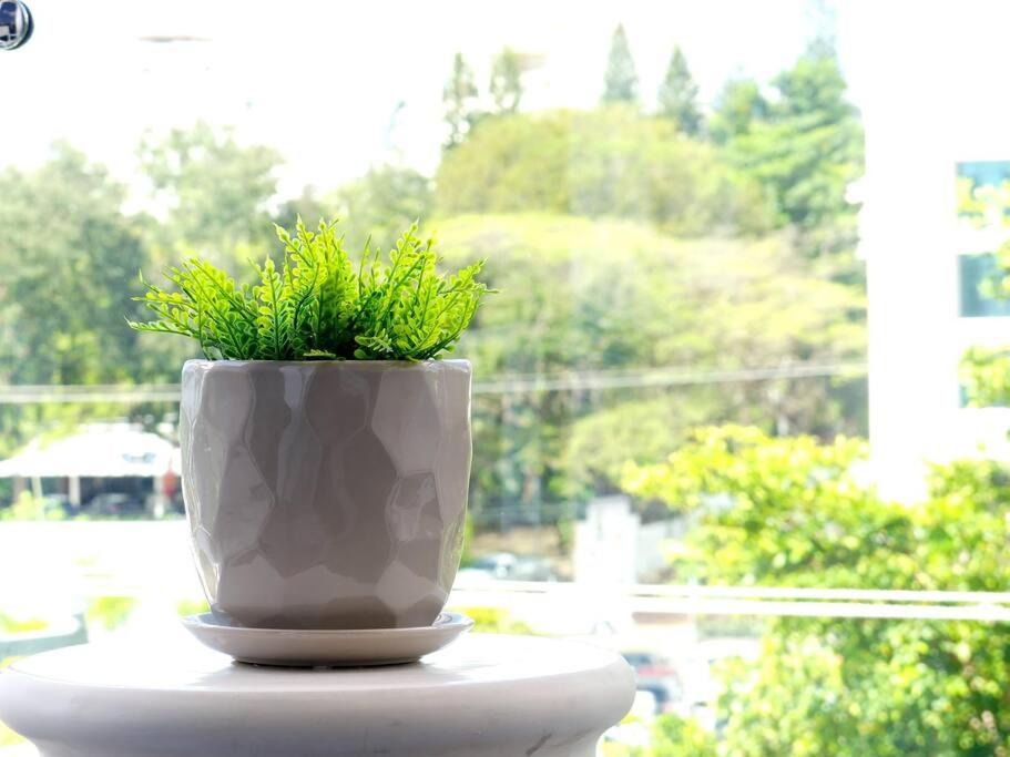 Photo of Patio Balcony in Santiago Province