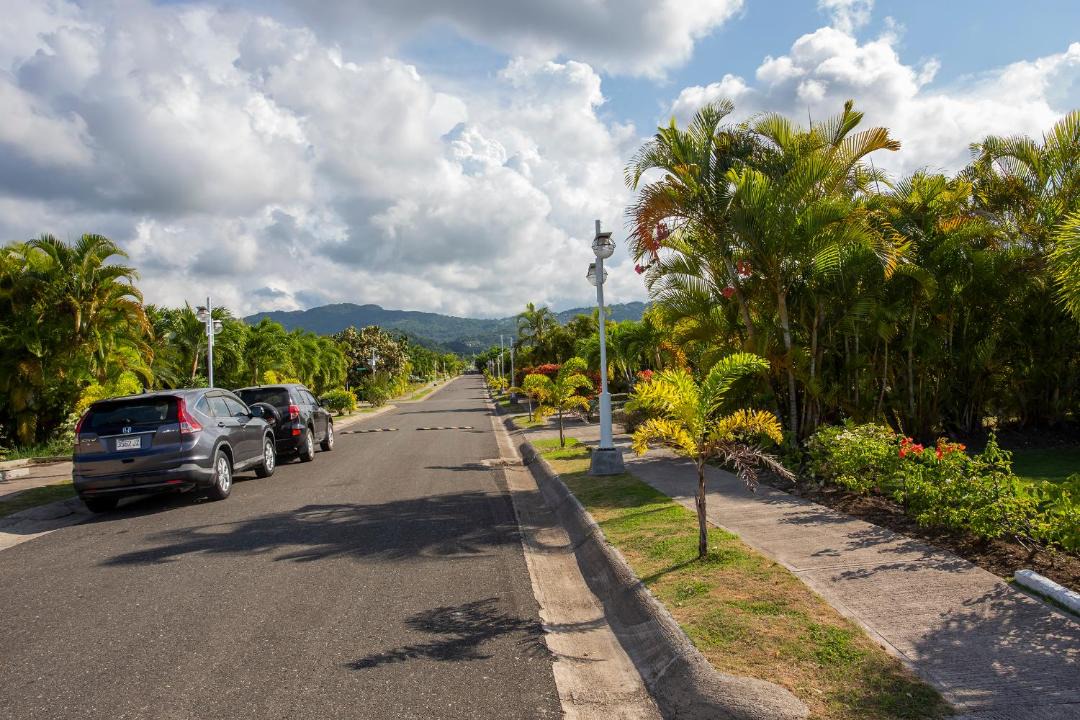 Photo of Others in St. Ann's Bay