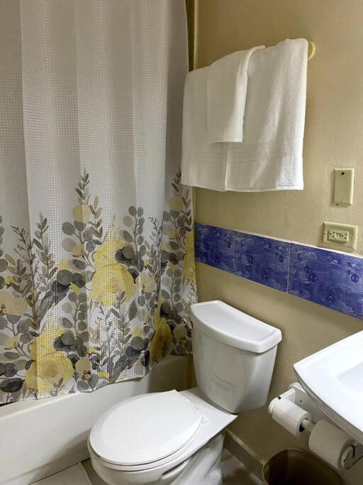 Photo of Bathroom in Runaway Bay