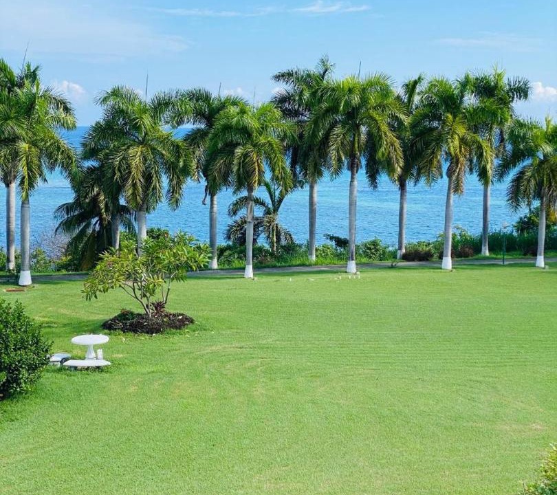 Photo of Others in Montego Bay