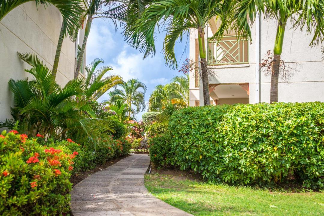 Photo of Others in Rodney Bay