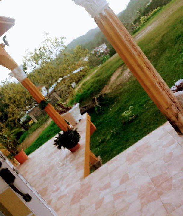 Photo of Others in Bamboo