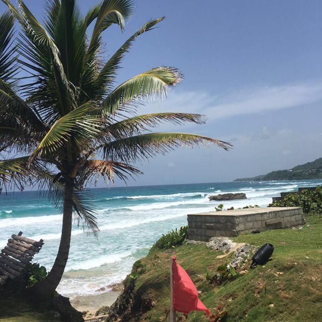 Photo of Outdoor in Orange Bay