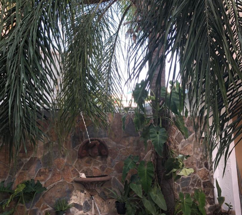 Photo of Others in Parque