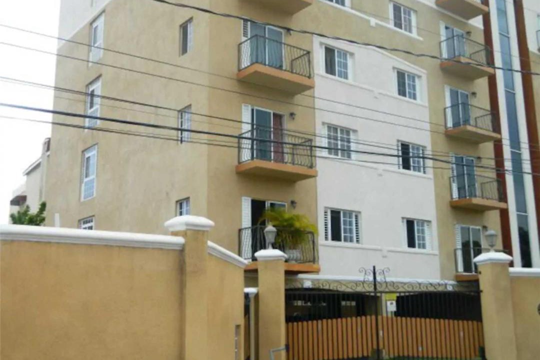 Photo of Others in New Kingston