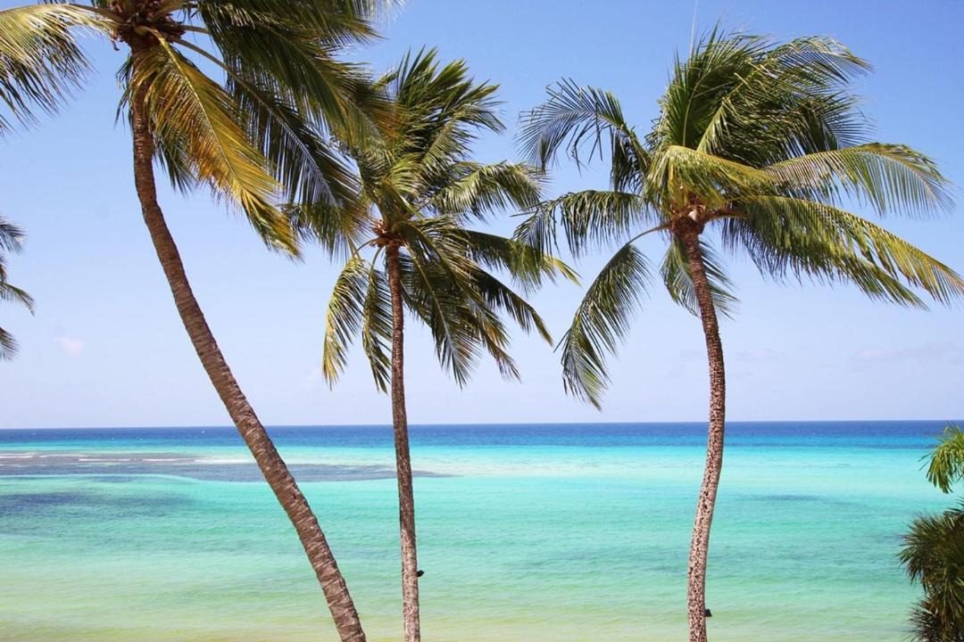 Photo of Outdoor in Saint Lawrence