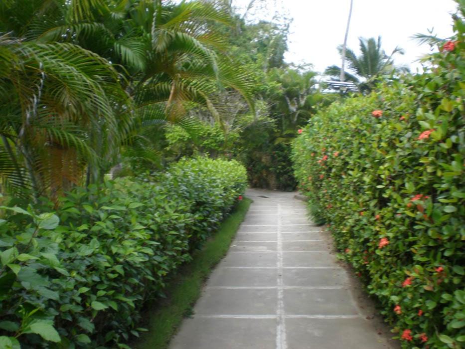 Photo of Others in Cabarete