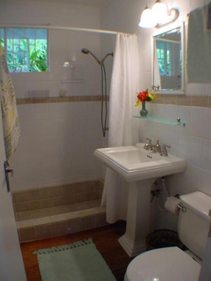 Photo of Bathroom in Port Antonio
