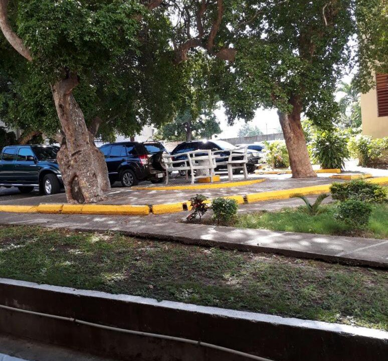 Photo of Others in New Kingston