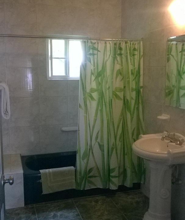 Photo of Bathroom in Port Antonio