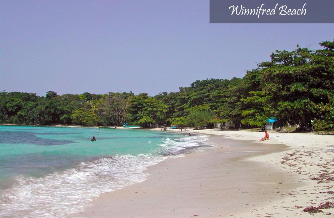 Photo of Others in Port Antonio