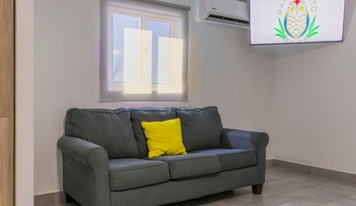 Deluxe Studio Suite, 1 King Bed with Sofa bed, Kitchen