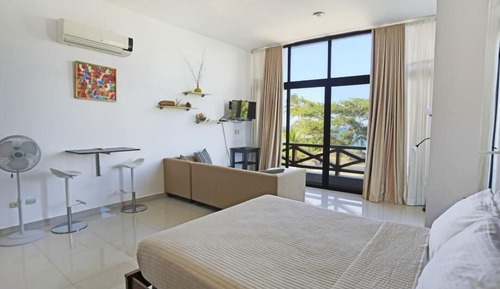 Standard Studio, 1 Queen Bed, Partial Ocean View