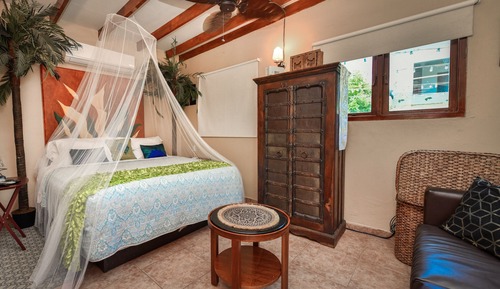 Junior Studio Suite, 1 King Bed, Private Bathroom, Garden View