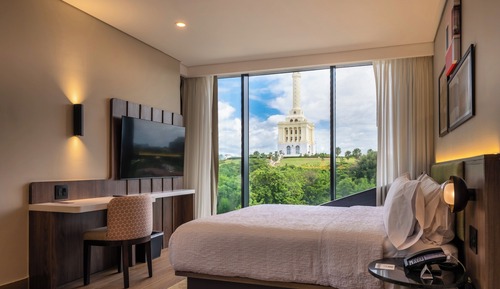 Room, 1 King Bed, Refrigerator (View, Sofa)