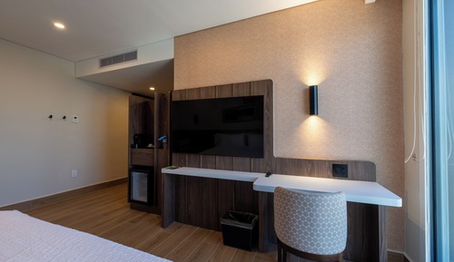 Room, 1 King Bed, Accessible, Non Smoking