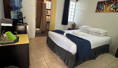 Standard Room, 1 Queen Bed, Refrigerator, Courtyard View