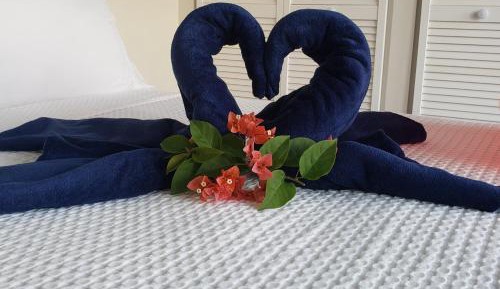 Deluxe Double Room with Balcony and Sea View
