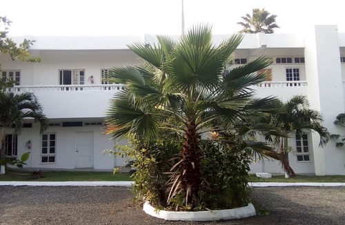 Tower Isle Hotel | Sea Shell Palms