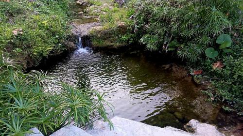 Blue Mountains National Park Hotel | River Edge Guest House